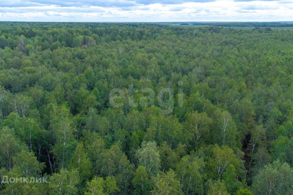 земля г Тюмень снт Светлячок городской округ Тюмень, 2-я улица фото 10