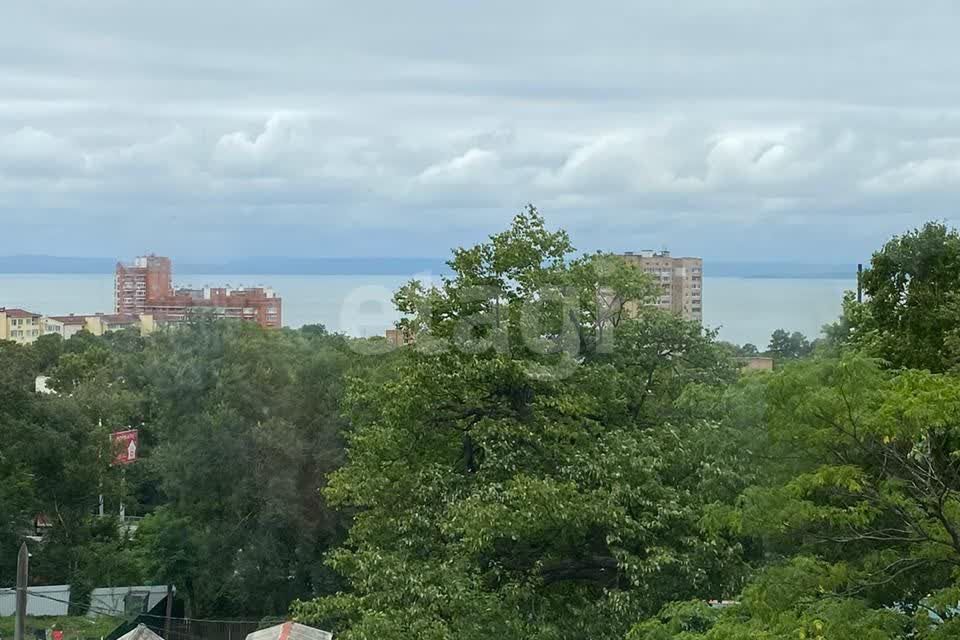 дом г Владивосток р-н Советский ул Чайковского Владивостокский городской округ фото 9