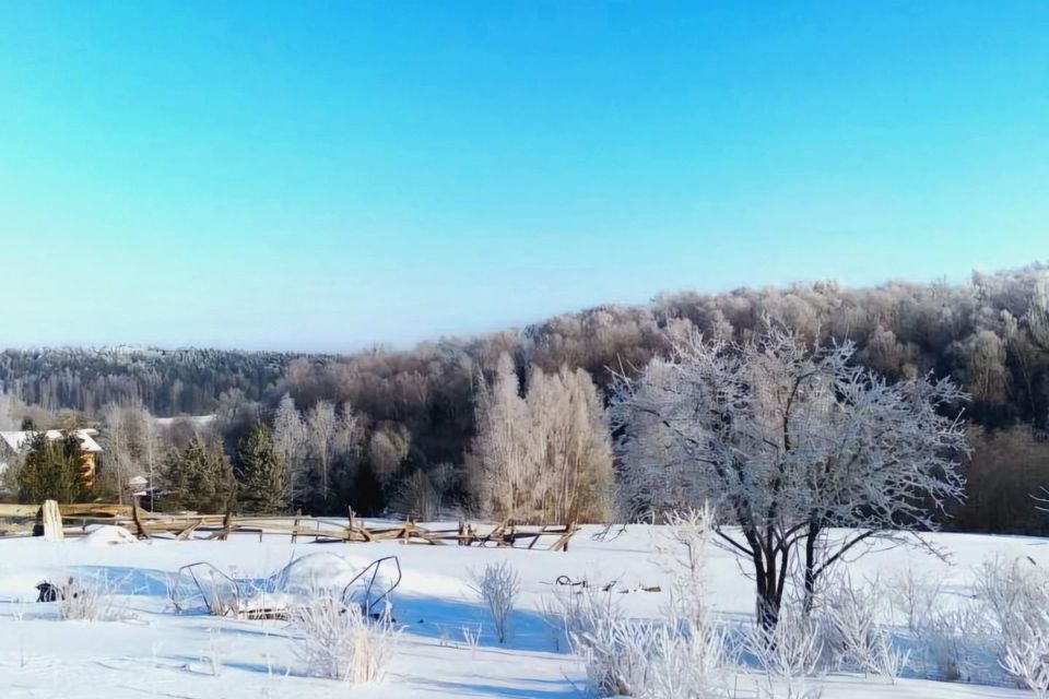 земля р-н Боровский д Беницы ул Центральная фото 9