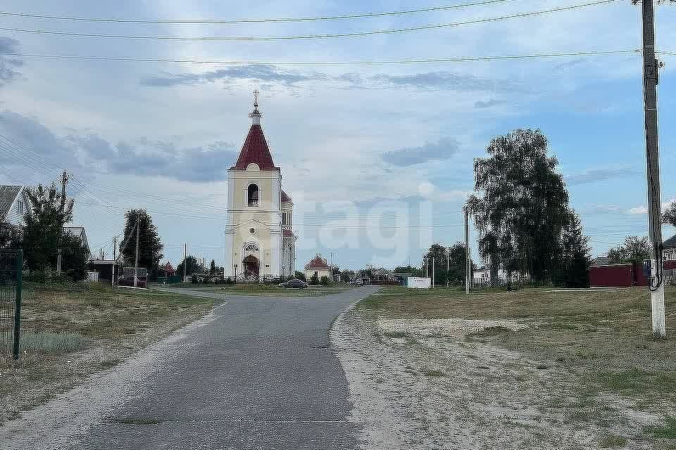 дом р-н Борисовский село Стригуны фото 6