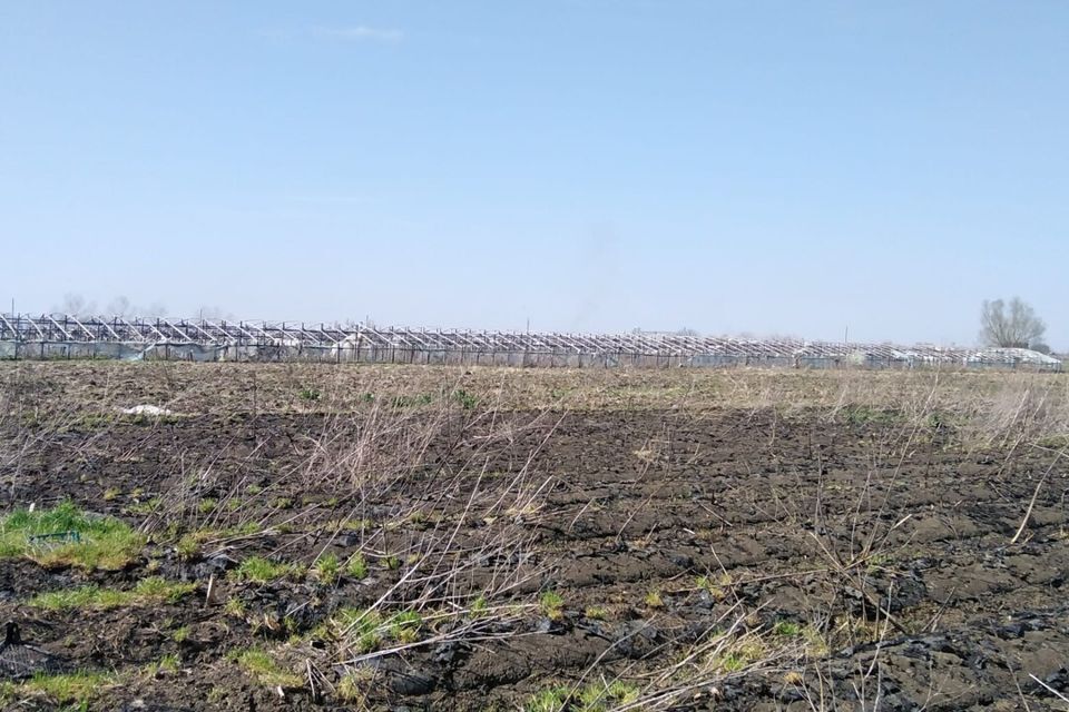 земля р-н Северский с Львовское ул Советская Львовское сельское поселение фото 9