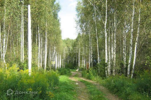 земля р-н Режевской фото 5