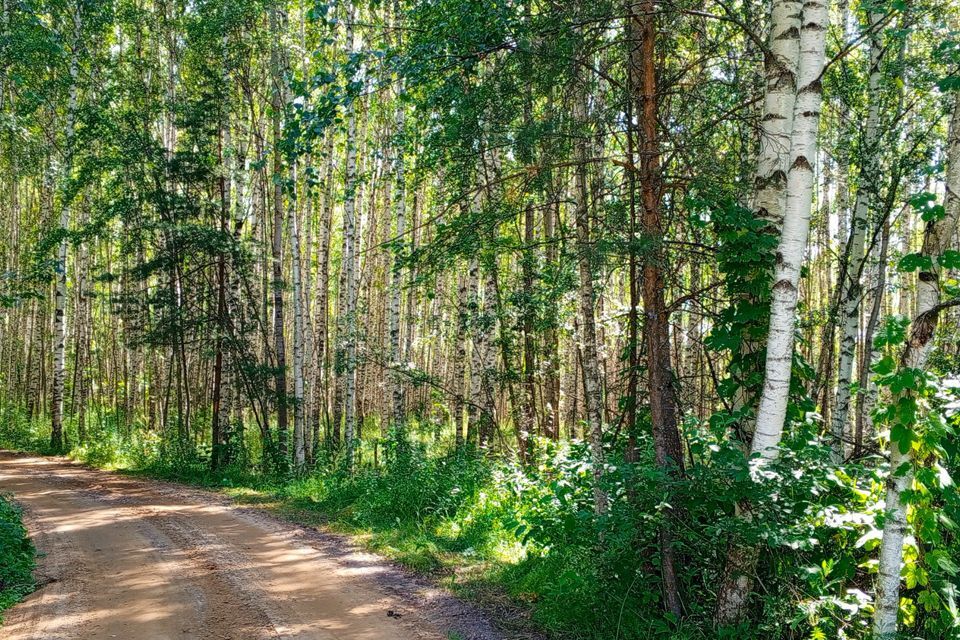 земля городской округ Бор, деревня Ватома фото 6