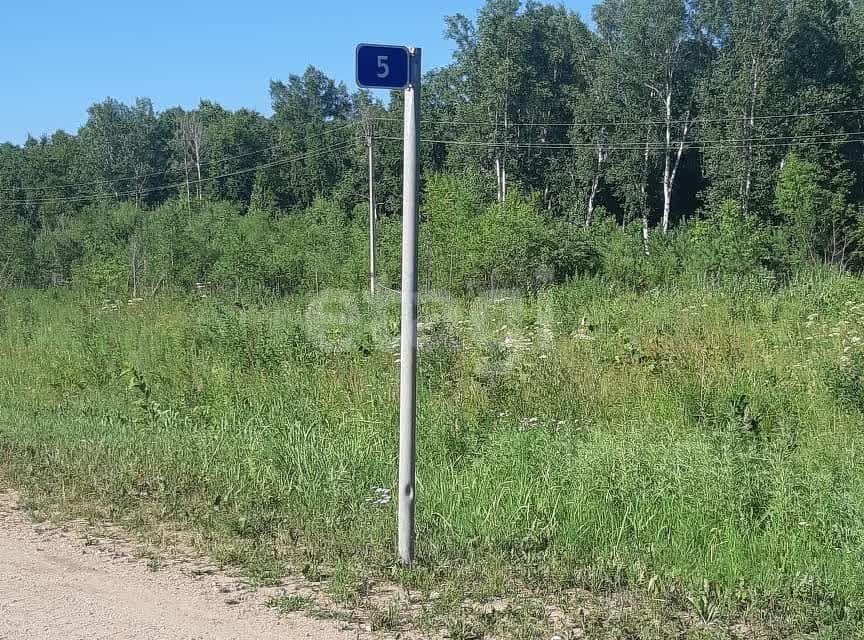 земля г Благовещенск СТ Эколог, городской округ Благовещенск фото 6