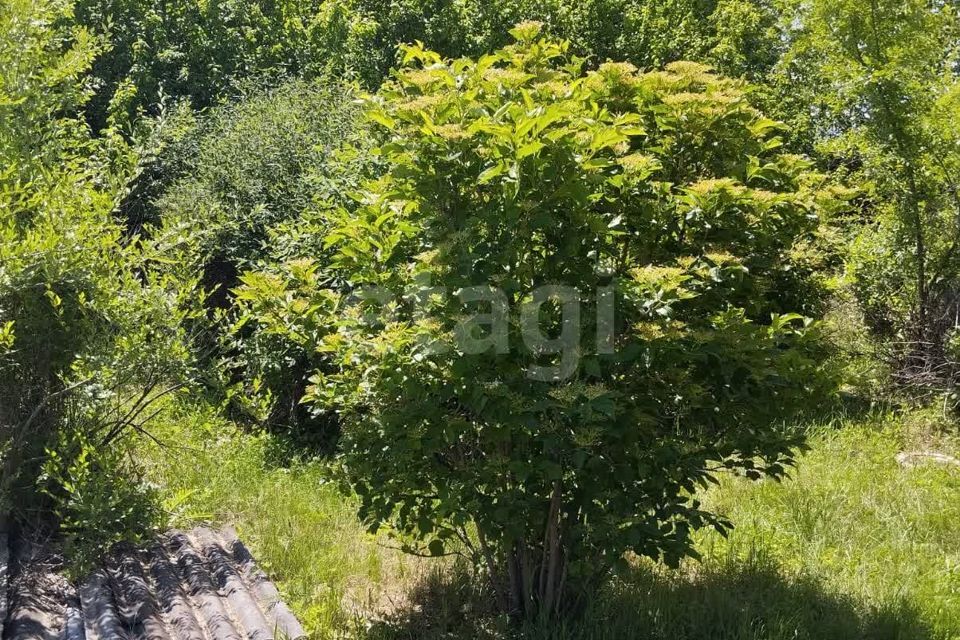 земля р-н Благовещенский с Игнатьево ул Переселенческая 11 фото 10