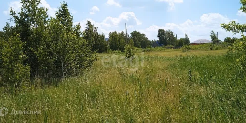 земля Копейский городской округ, СНТ Курочкино-1 фото 9