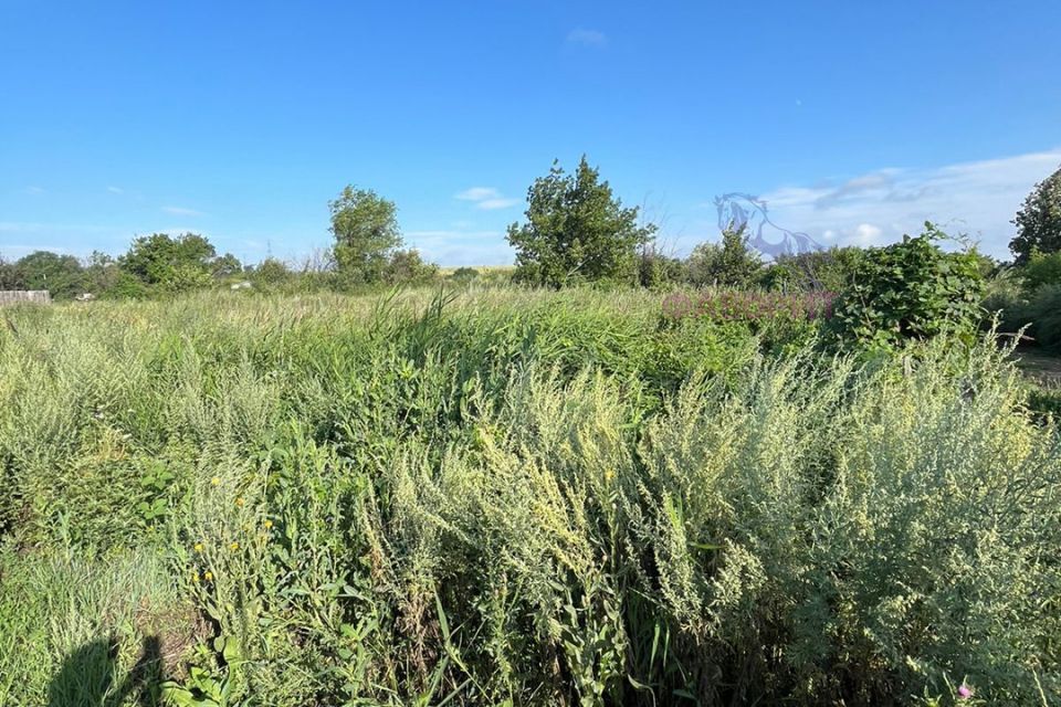 земля г Орск р-н Октябрьский Елшанка ул Лиманская городской округ Орск фото 8