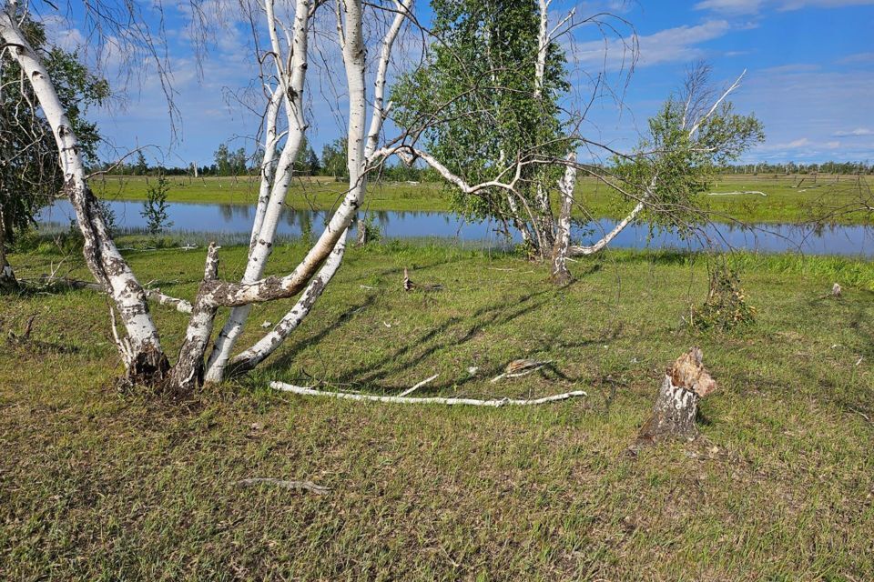 земля у Намский село Партизан фото 9