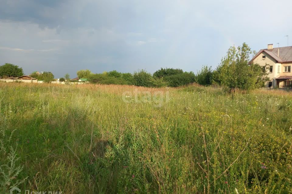 земля р-н Губкинский село Аверино фото 8