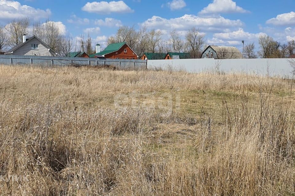 земля р-н Новоусманский посёлок совхоза Воронежский фото 6