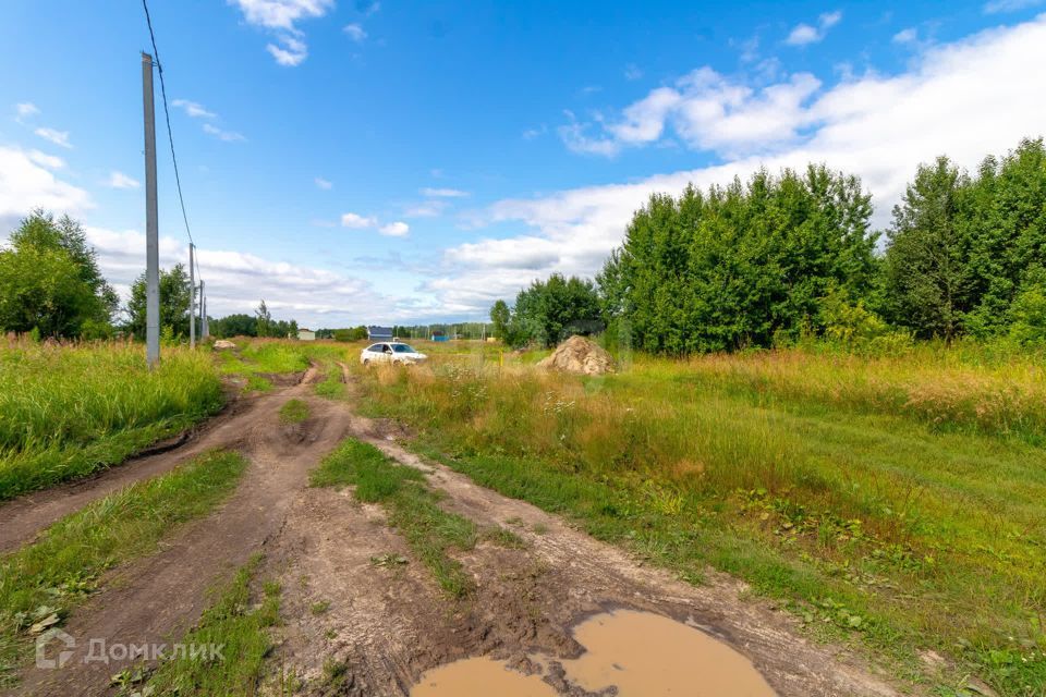 земля р-н Нижнетавдинский фото 8