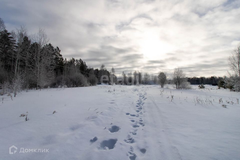 земля р-н Нижнетавдинский фото 8