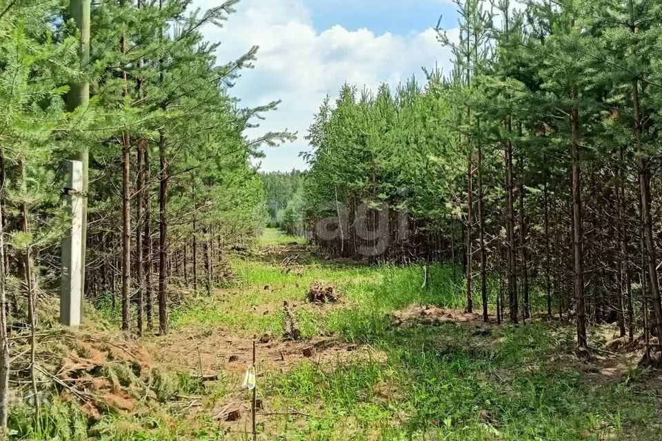 земля р-н Сысертский фото 5