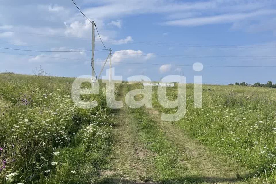 земля р-н Емельяновский садоводческое некоммерческое товарищество Луч фото 5