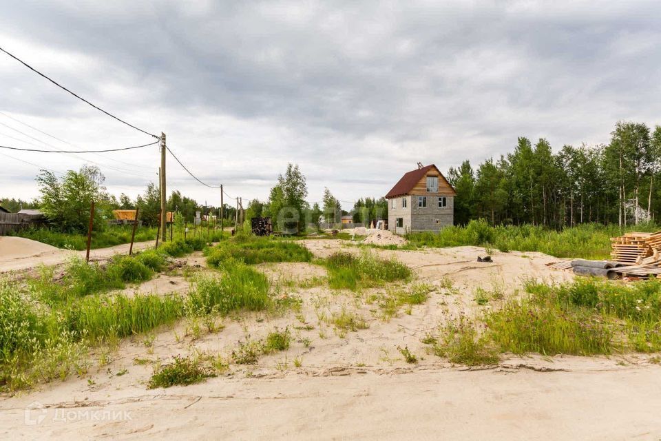 земля р-н Сургутский ДНТ Богдановское фото 5