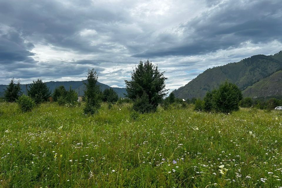 земля р-н Чемальский село Анос фото 7