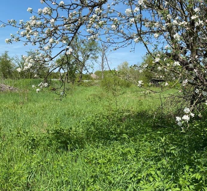 земля муниципальный округ Горячий Ключ, станица Кутаисская фото 5