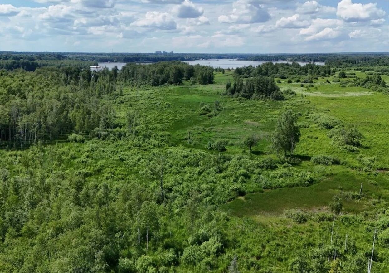 земля городской округ Мытищи д Протасово ул Ромашковая 215 25 км, Марфино, Дмитровское шоссе фото 9