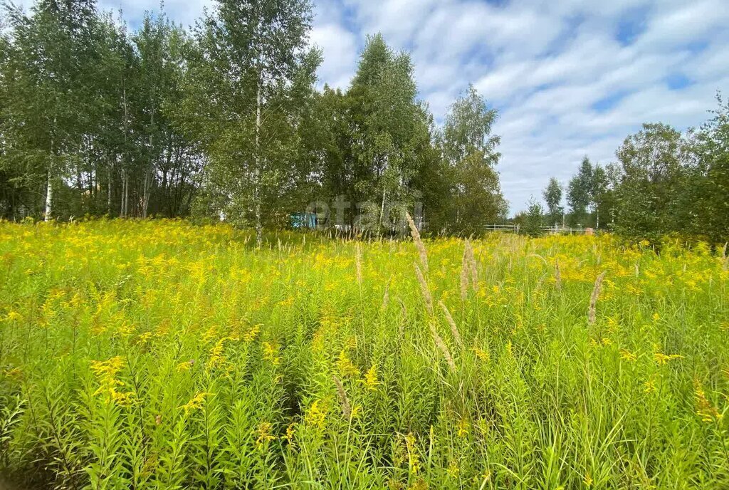 земля муниципальное образование, село Частое фото 1