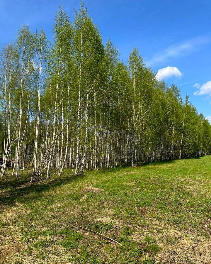 земля городской округ Истра д Сафонтьево 38 км, Истра, Волоколамское шоссе фото 36