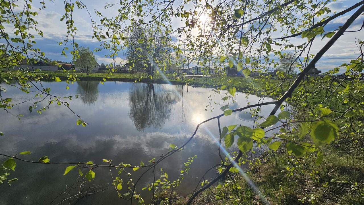 земля городской округ Истра д Подпорино Истра г, ДНП Подпорино территория, Волоколамское шоссе фото 2