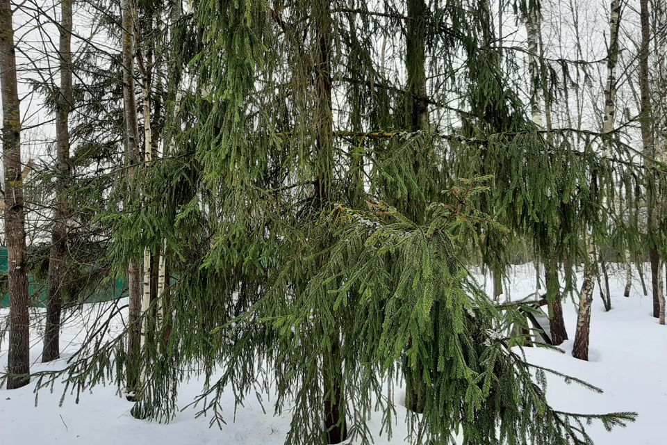 земля 2-й массив, 11 вл 8, Одинцовский городской округ, СНТ Старт фото 6