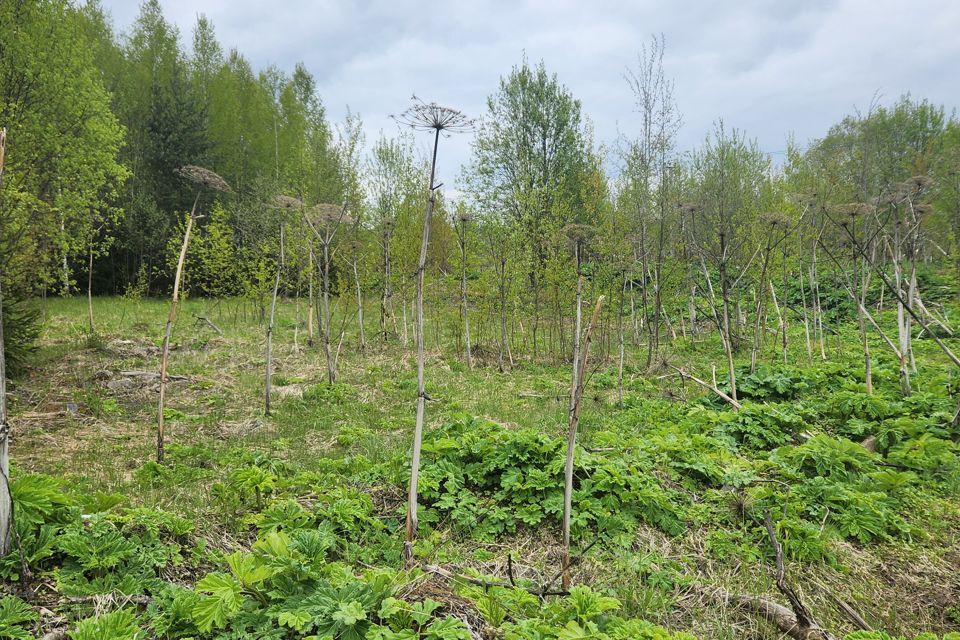 земля городской округ Истра коттеджный посёлок Шоколад фото 6