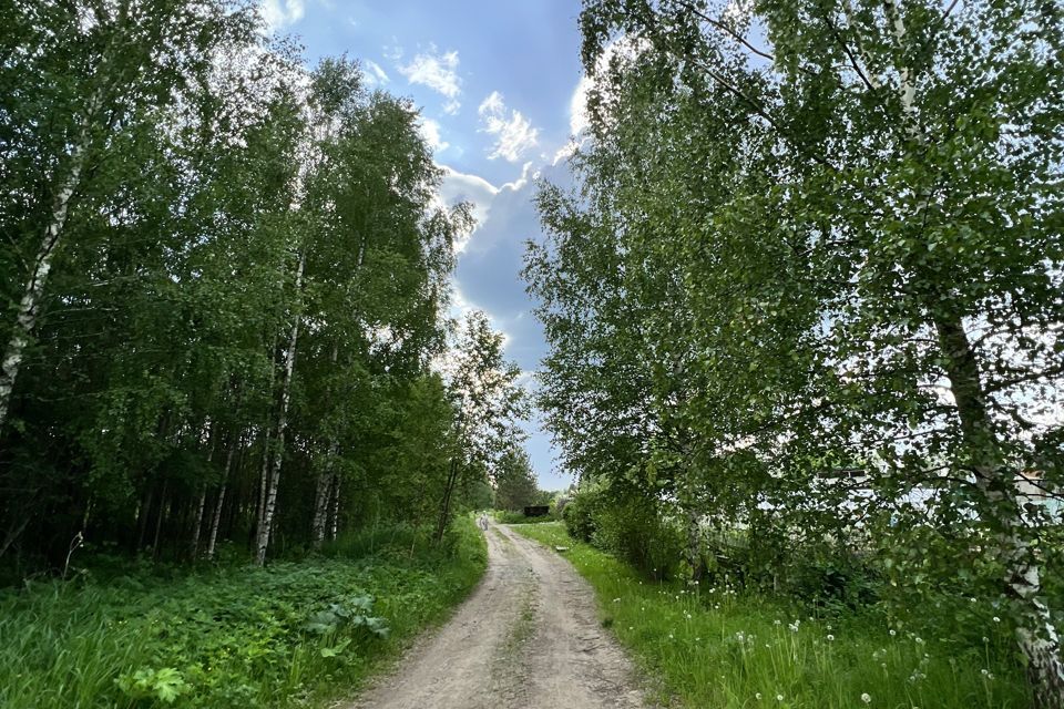 земля городской округ Клин деревня Борисово фото 5