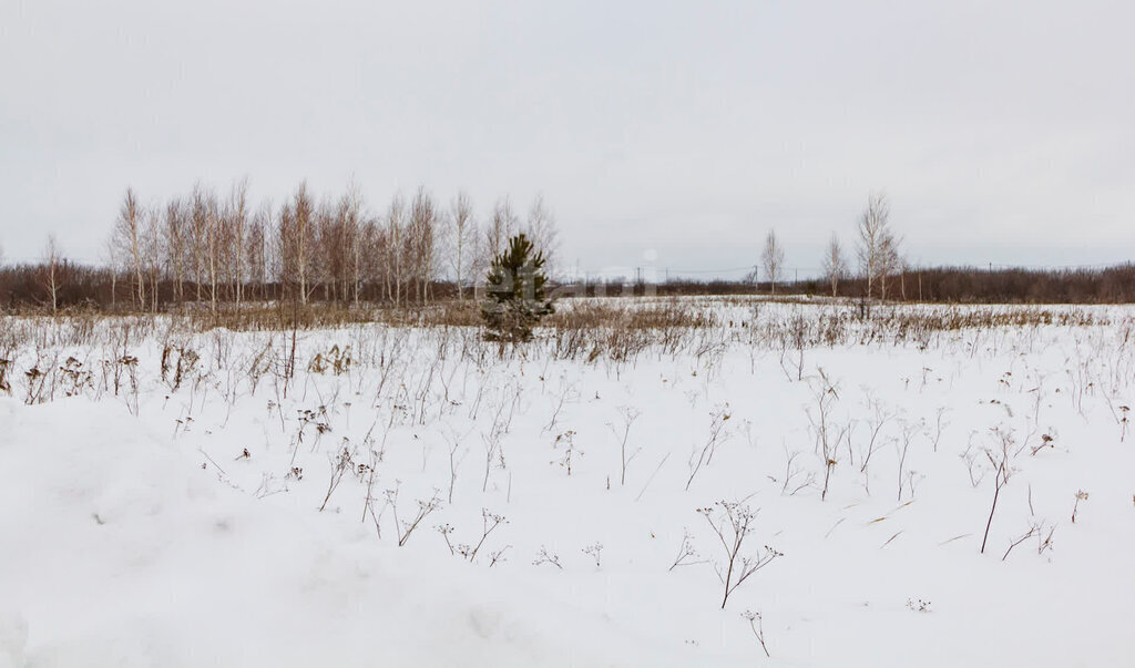 земля г Ялуторовск ул Жигайло фото 2