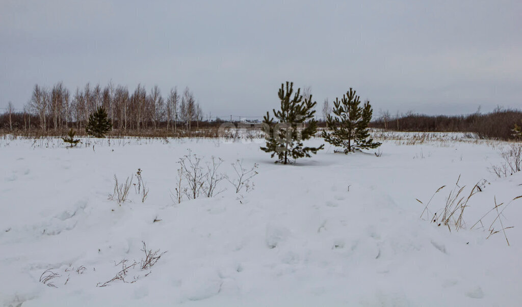 земля г Ялуторовск ул Жигайло фото 3