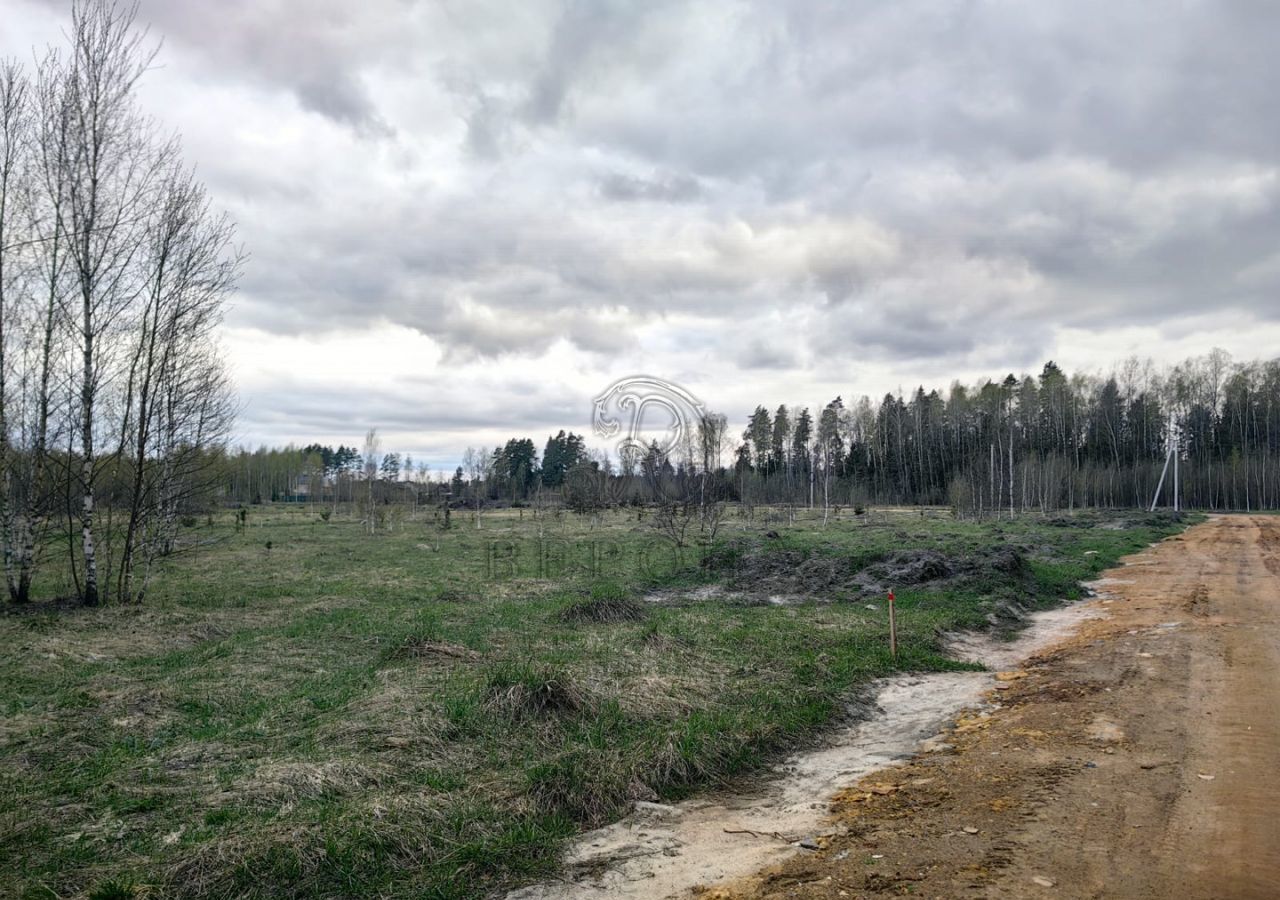 земля направление Горьковское (восток) ш Горьковское 33 км, Богородский г. о, Ногинск фото 4