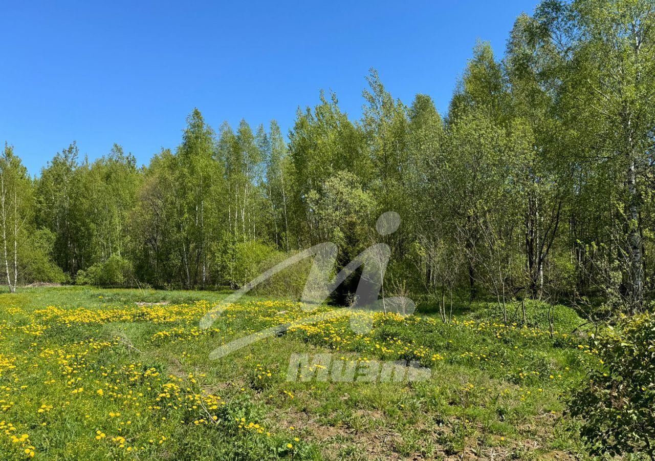 дом городской округ Пушкинский д Зимогорье 26 км, 14А, Правдинский, Ярославское шоссе фото 14