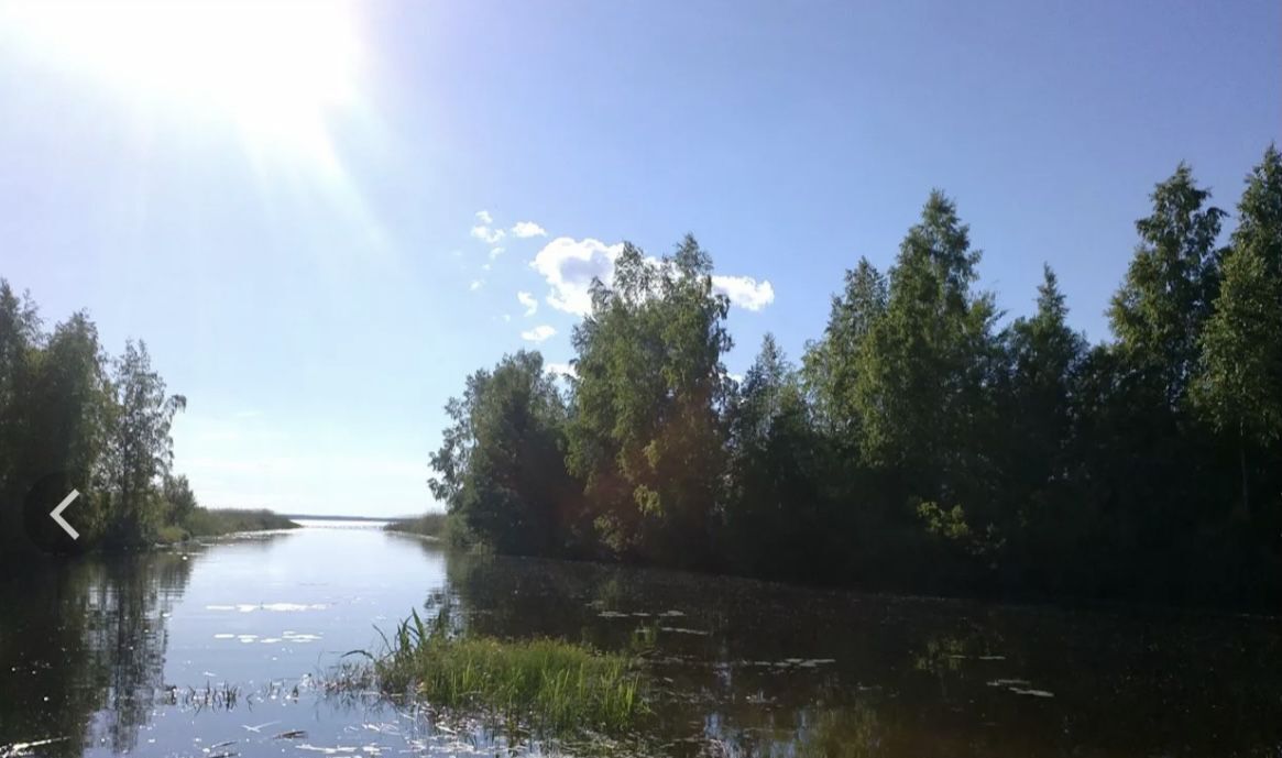 земля р-н Гдовский д Чудская Рудница Самолвовская волость фото 2