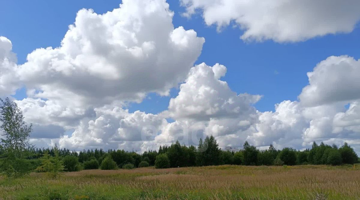 офис г Владимир р-н Октябрьский ул Новгородская фото 13