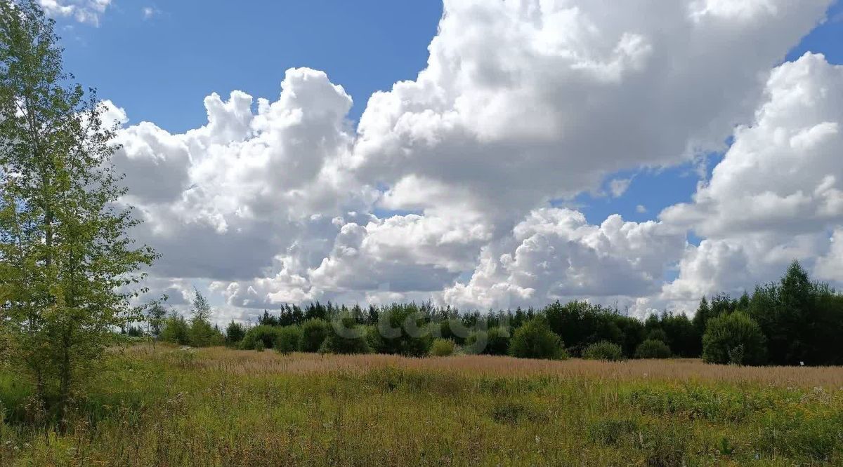 офис г Владимир р-н Октябрьский ул Новгородская фото 11