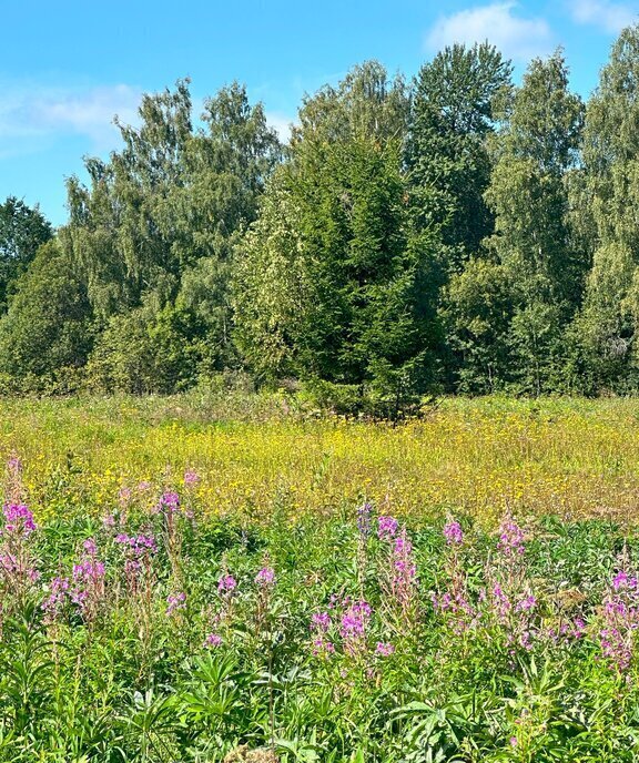 земля городской округ Клин д Вертково фото 6