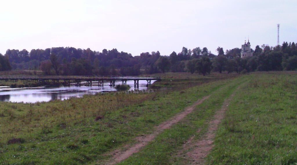 земля городской округ Рузский д Рыбушкино фото 1