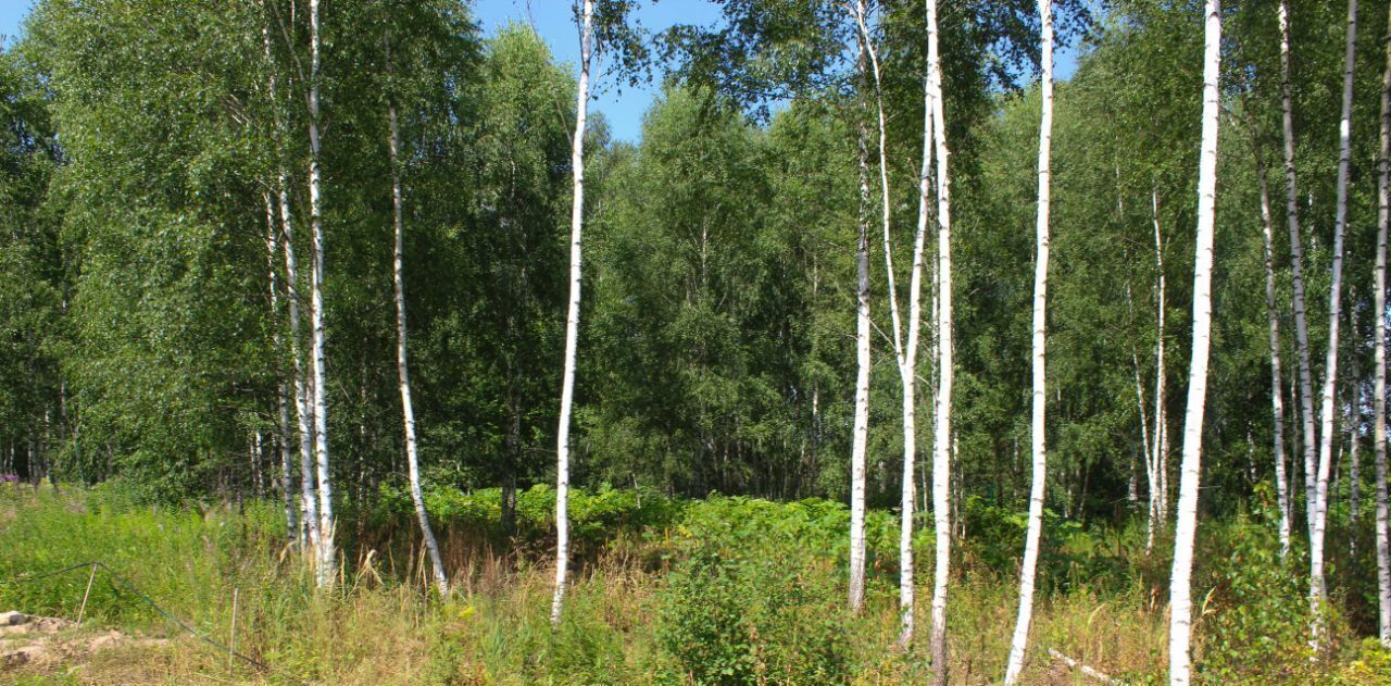 земля городской округ Чехов п Любучаны ул Октябрьская фото 6