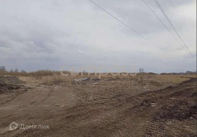 городской округ Тюмень, ТОО Ембаевское фото