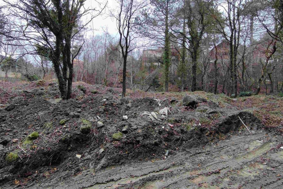 земля р-н Ленинский с Виноградное городской округ Ялта, Иссарское шоссе фото 7