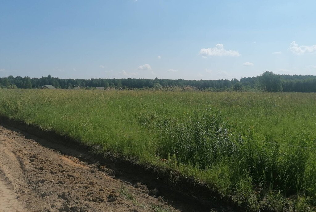 земля г Раменское снт Раменье Дмитровский городской округ фото 2