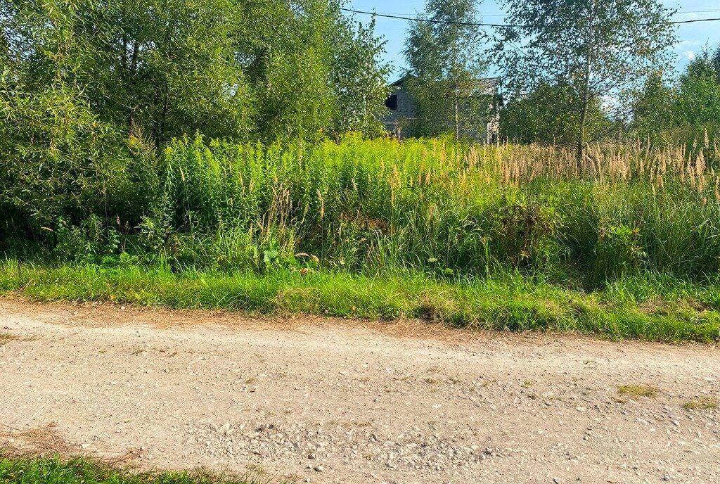 земля городской округ Егорьевск д Фильчаково ул Березовая фото 3