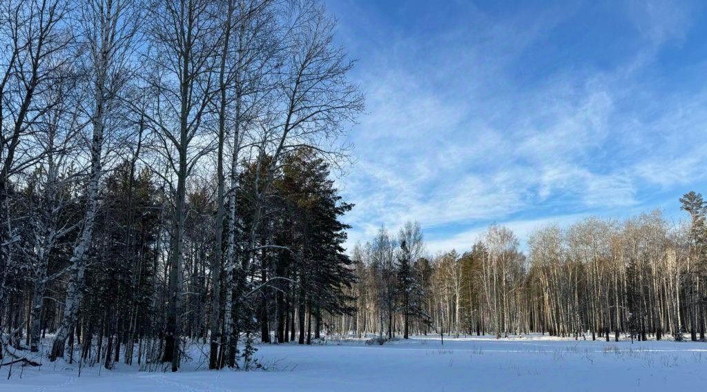 земля р-н Сысертский п Габиевский фото 1