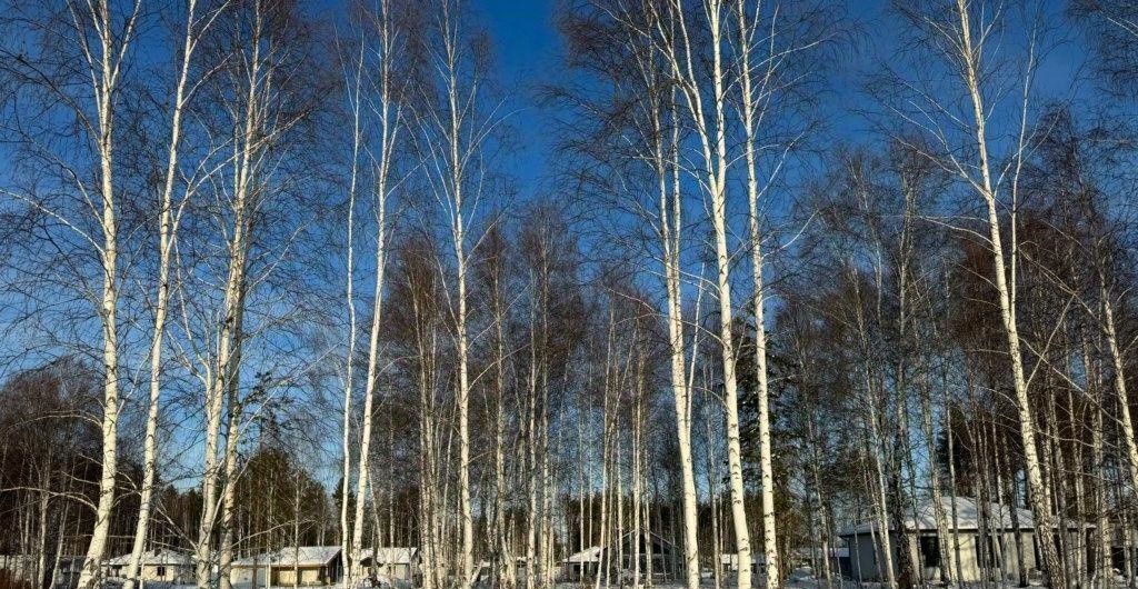 земля р-н Сысертский п Габиевский фото 4