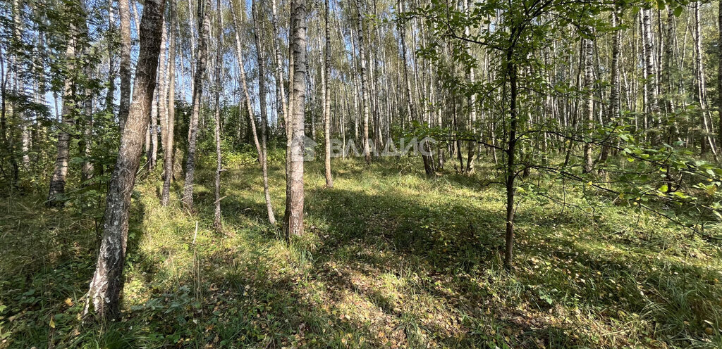 земля городской округ Серпухов д Ланьшино снт Ланьшино фото 13