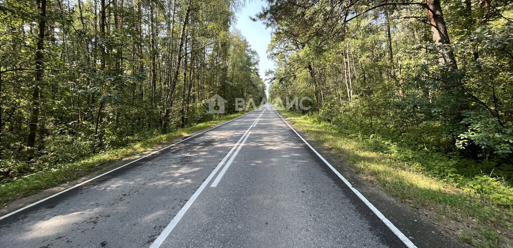 земля городской округ Серпухов д Ланьшино снт Ланьшино фото 17