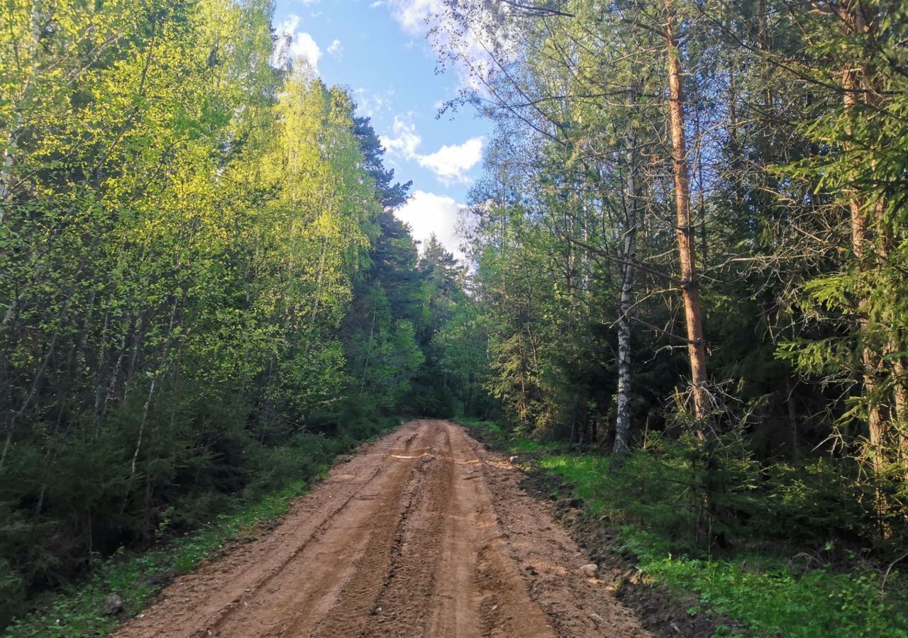 земля городской округ Можайский д Шишиморово 83 км, Можайск, Минское шоссе фото 22