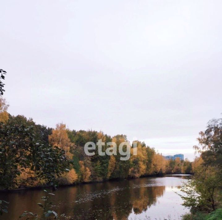 комната г Санкт-Петербург метро Ладожская ул Передовиков 9к/2 фото 6