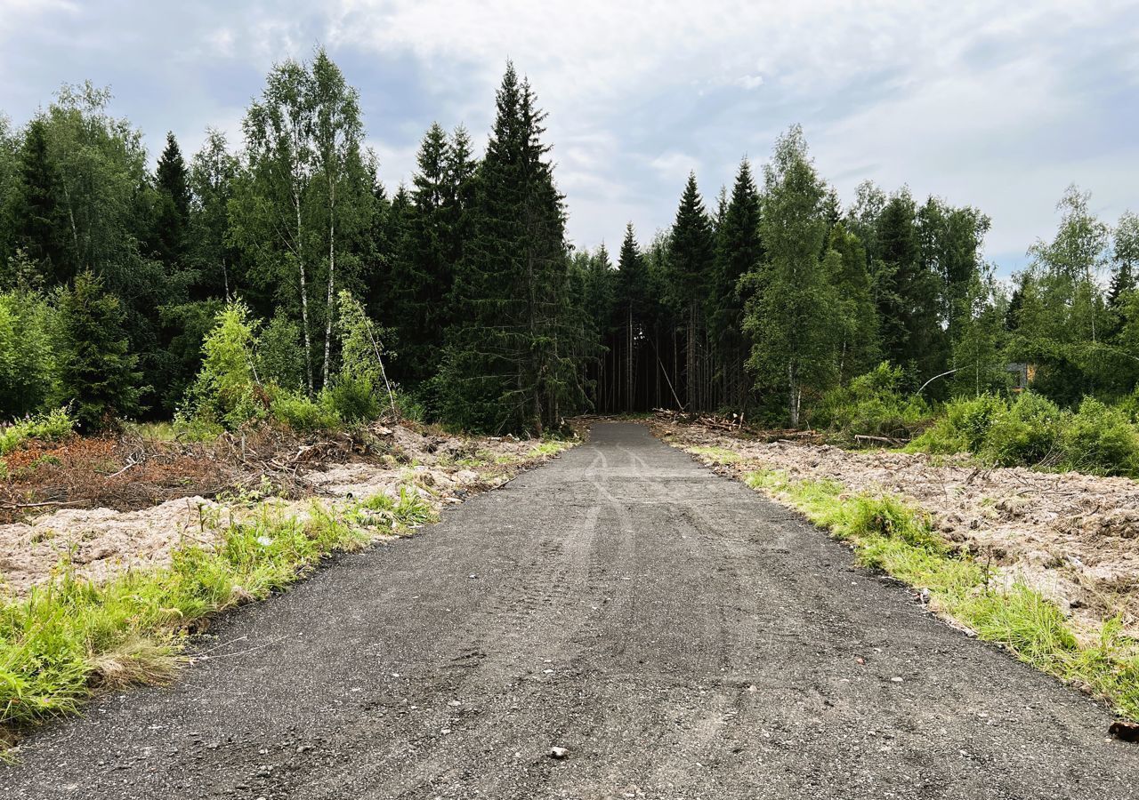 земля городской округ Дмитровский рп Икша 32 км, пос. Поповка, Рогачёвское шоссе фото 9