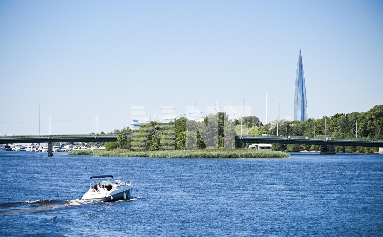 квартира г Санкт-Петербург метро Чкаловская ул Ждановская 45 фото 25